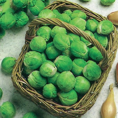 Kings Brussels Sprout Fillbasket Seeds