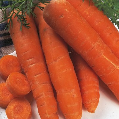 Kings Carrot Autumn King  2 Rhs Agm Seeds