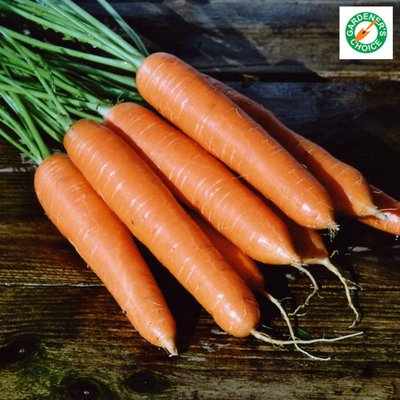 Kings Carrot Eskimo F1 Rhs Agm Seeds