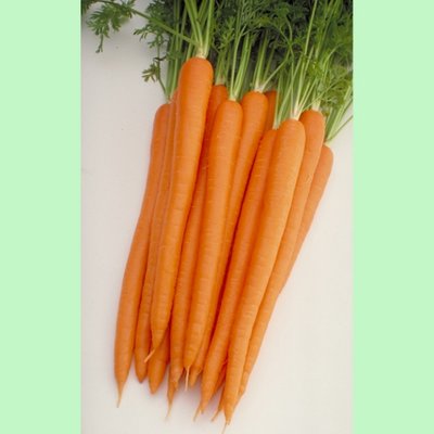 Kings Carrot Sugarsnax  54  F1 Rhs Agm Seeds