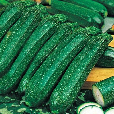 Kings Courgette Ambassador F1 Seeds