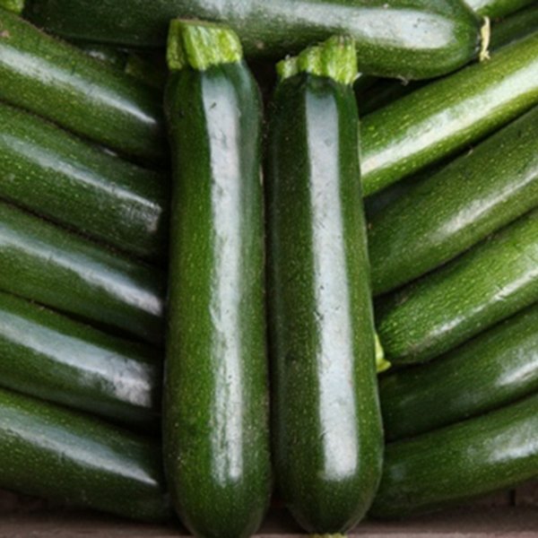 Kings Courgette Midnight F1 Seeds