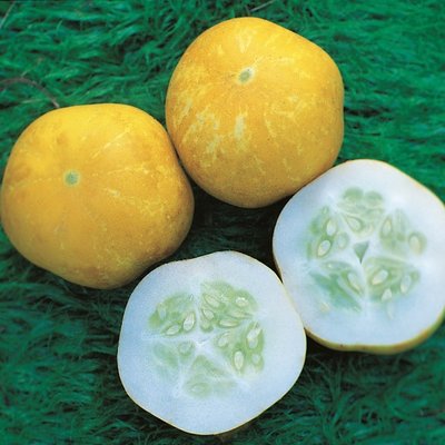 Kings Cucumber Crystal Lemon Seeds