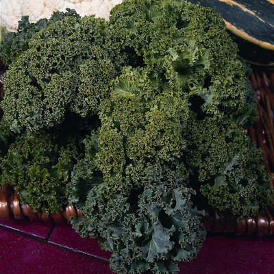 Kings Kale Dwarf Green Curled Seeds