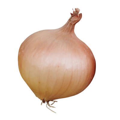 Kings Onion Sturon Seeds