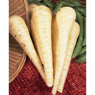 Kings Parsnip Imperial Crown Seeds