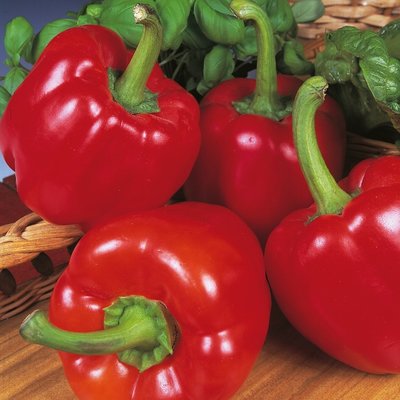 Kings Pepper Sweet Beauty Bell F1 Seeds