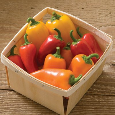 Kings Pepper Sweet Lunch Box Mix F1 Seeds