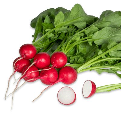 Kings Radish Crunchy King F1 Seeds