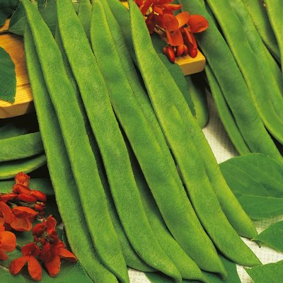 Kings Runner Bean Butler Seeds