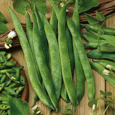 Kings Runner Bean White Lady Seeds