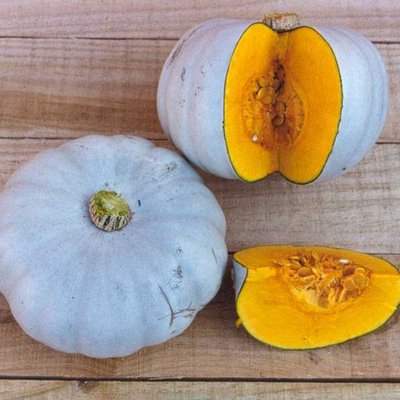 Kings Squash Winter Crown Prince F1 RHS AGM Seeds