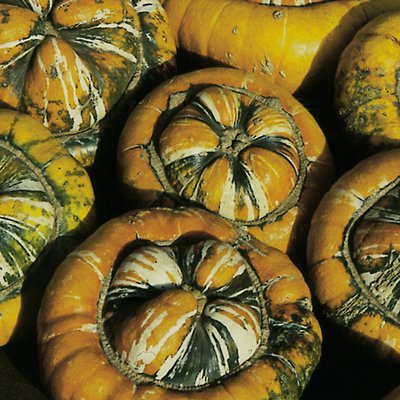 Kings Squash Winter Turks Turban Seeds