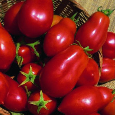 Kings Tomato San Marzano Red Plum Seeds