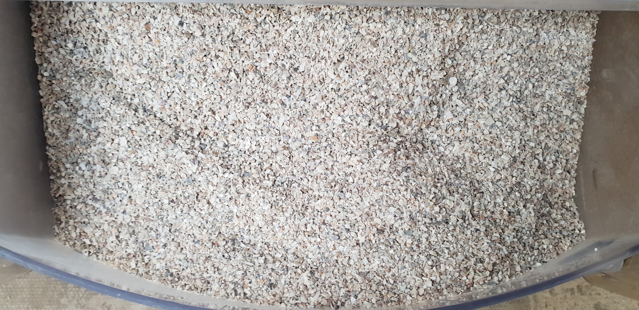 Bird Shell Cage Bird Shell Loose price per KG - Groves Nurseries & Garden Centre