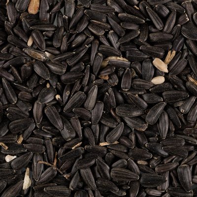 Black Sunflower Seed Loose price per KG