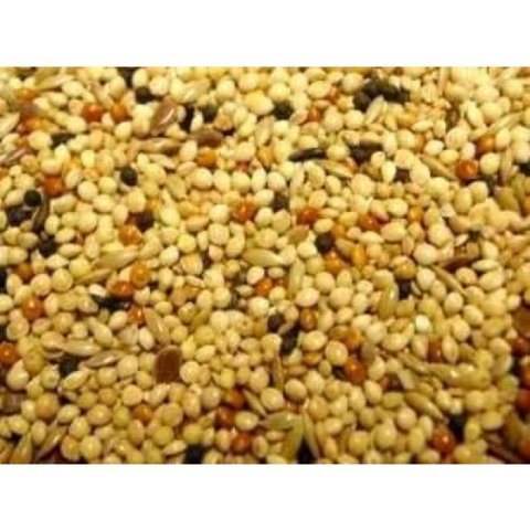 Willsbridge Foreign Finch Mix price per KG