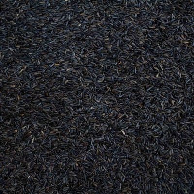 Niger Seed Bird Loose price per KG