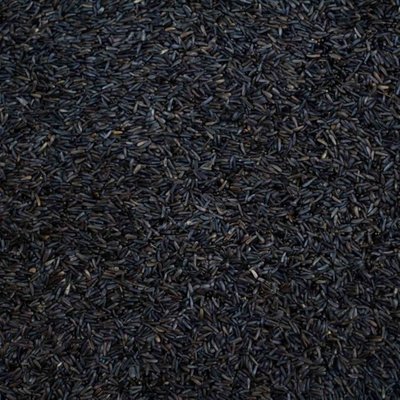 Niger Seed Bird Loose price per KG