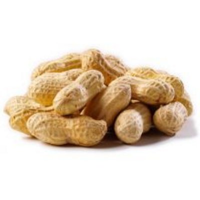 Loose Peanuts In Shell price per kg