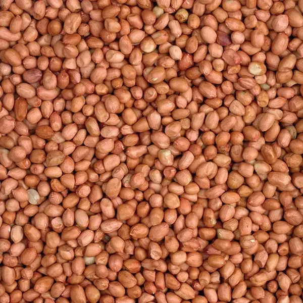Loose Feed: Peanuts Price Per Kg