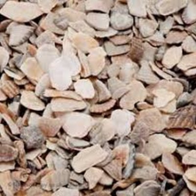 Hen Oyster Shell Loose price per KG