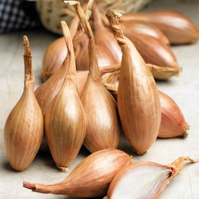 Shallots Jermor per kg