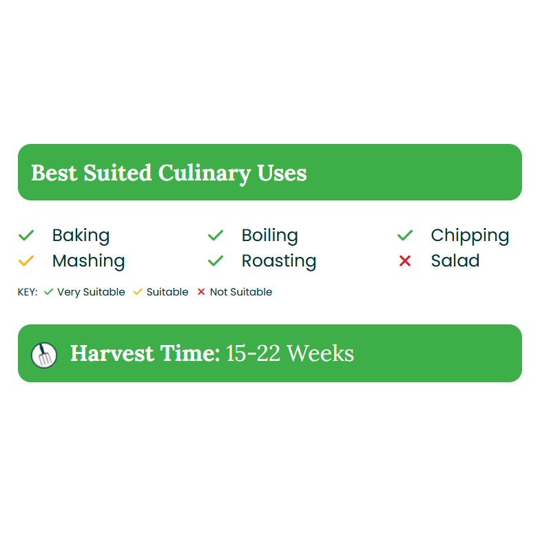 Main Crop Picasso - image 2