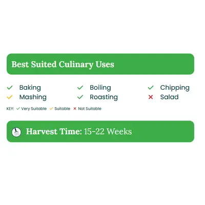 Main Crop Picasso - image 2