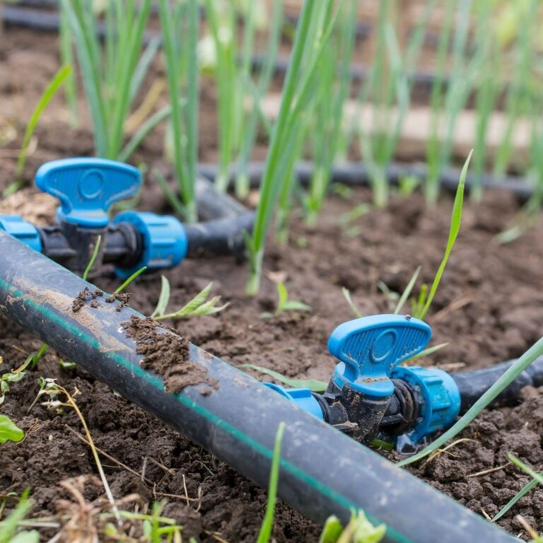 Micro Irrigation Systems Groves Nurseries & Garden Centre