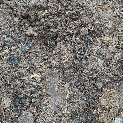 Mushroom Compost Dumpy Bag (Tipped) - image 2