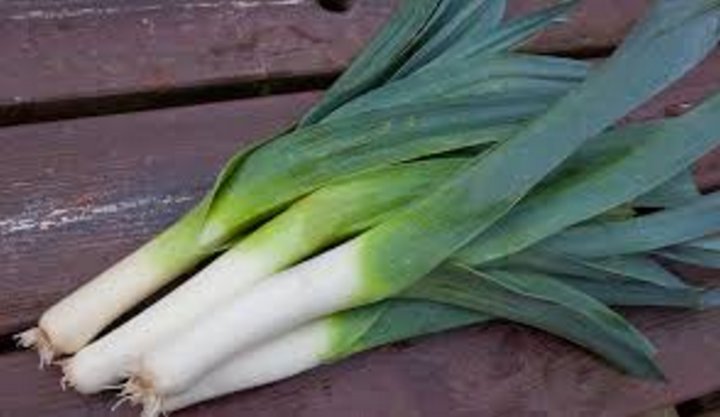 Musselburgh Leeks