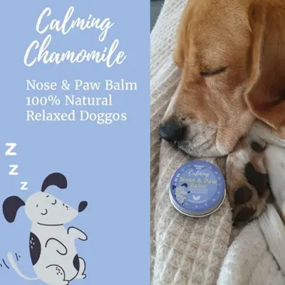 Nilaqua® Nose & Paw Balm Calming 30g - image 2