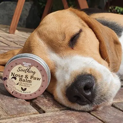 Nilaqua® Nose & Paw Balm Soothing 30g - image 3