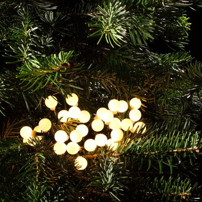 Noma 100 Warm White Berry Lights