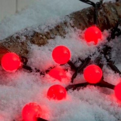 Noma 50 Fit & Forget B/O Red Multi Function Berry Lights