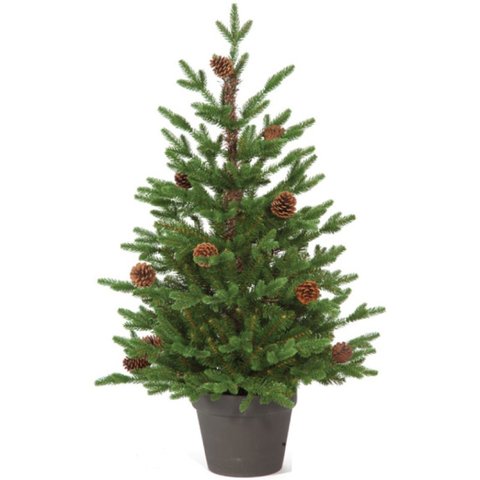 Noma Buckingham Pine 3ft
