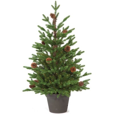 Noma Buckingham Pine 3ft