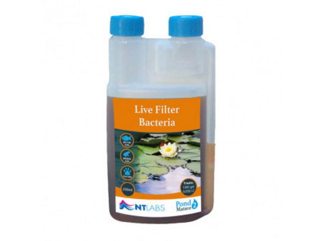 NT Labs Live Filter Bacteria Pond 250ml