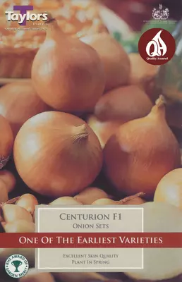 Loose Onion Sets Centurion (Price Per Kg)