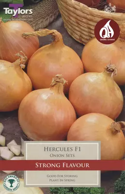 Loose Onion Sets Hercules (Price Per Kg)