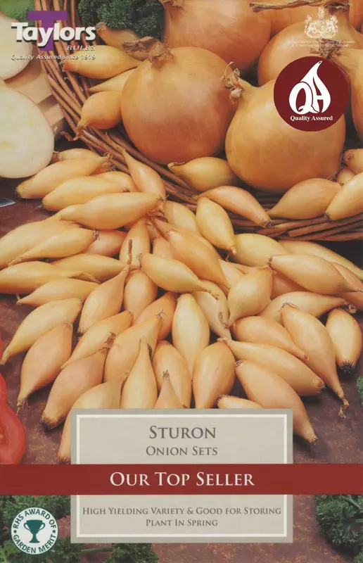 Loose Onion Sets Sturon (Price Per Kg)