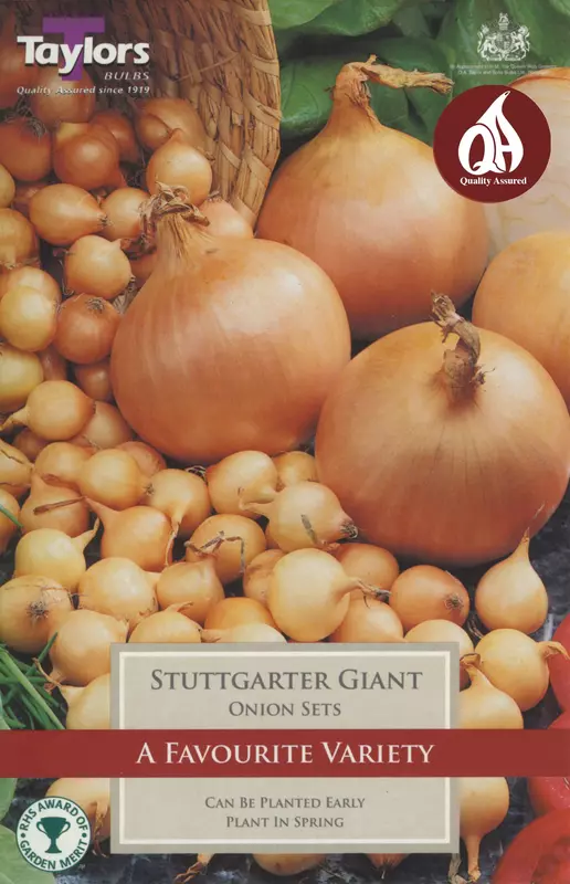 Loose Onion Sets Stuttgarter Giant (Price Per Kg)