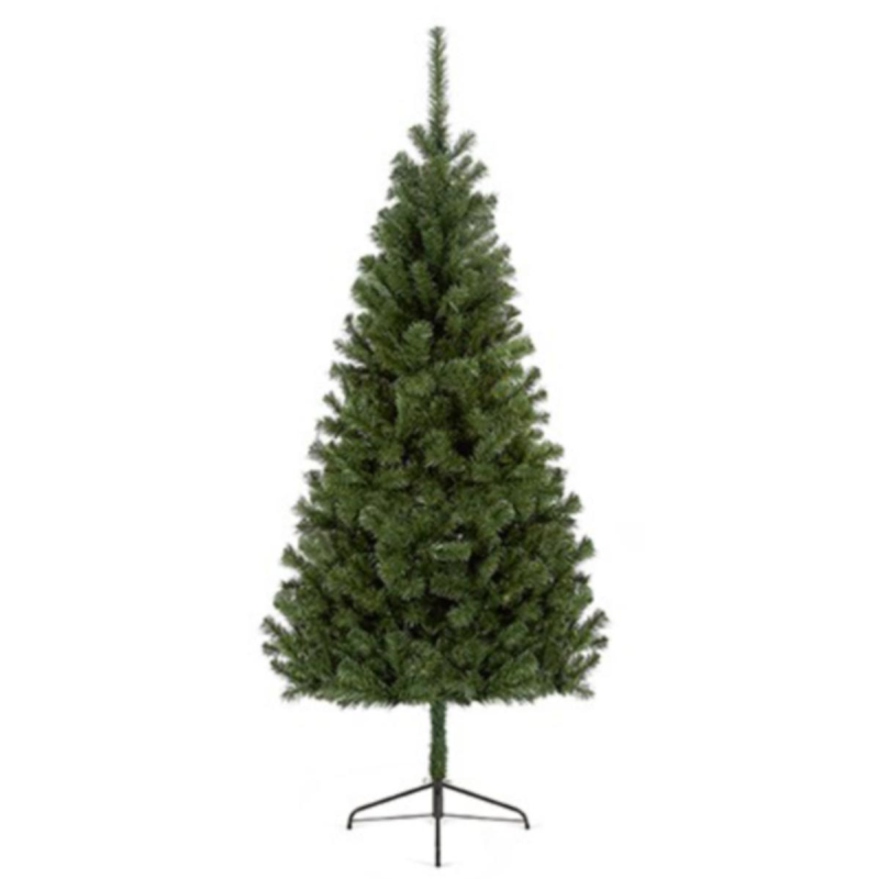 1.2M Douglas Fir Tree