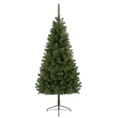 1.2M Douglas Fir Tree
