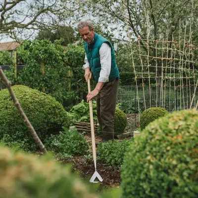 Kent & Stowe Stainless Steel Long Handled Dutch Hoe - image 3