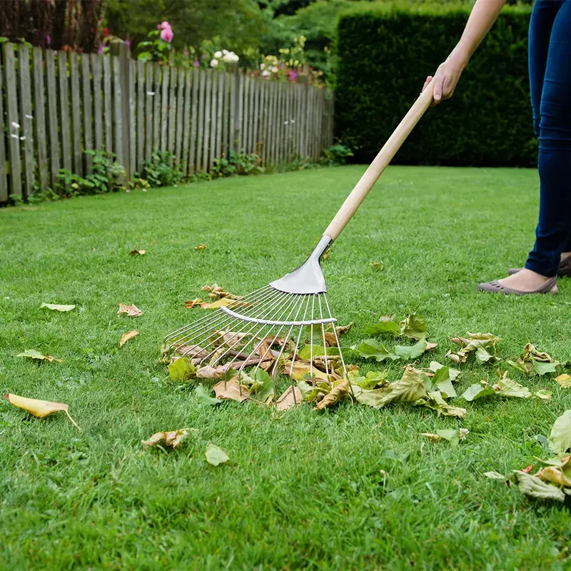 Kent & Stowe Stainless Steel Long Handled Lawn and Leaf Rake - image 3