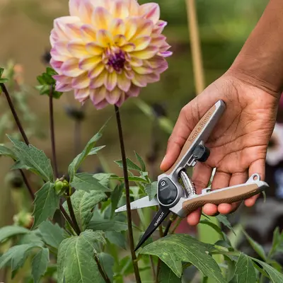 Kent & Stowe SureCut Flower Snips - image 2