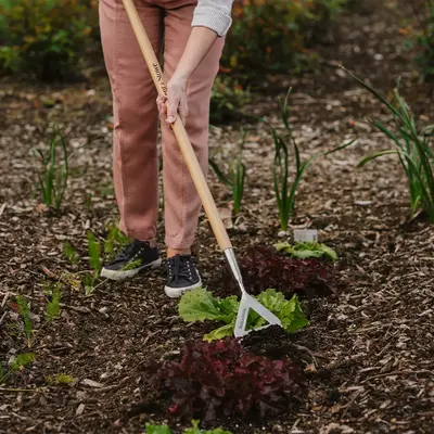 Kent & Stowe Garden Life Compact Stainless Steel Dutch Hoe - image 3