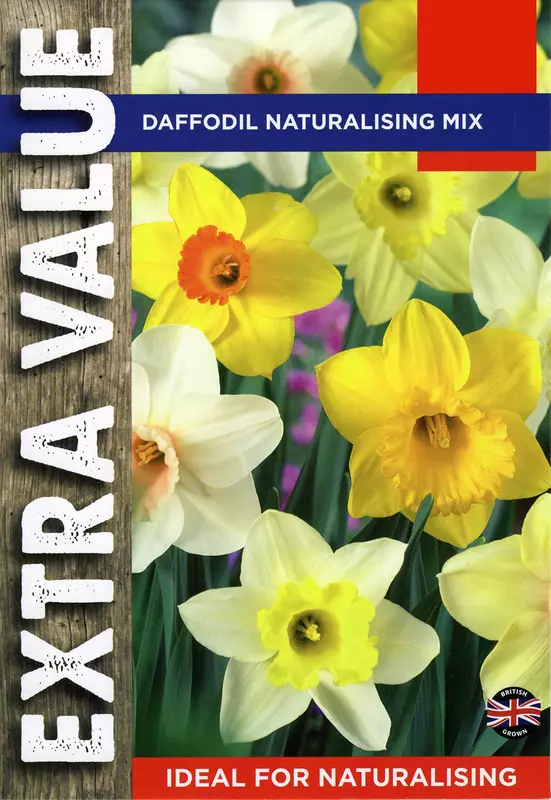 Daffodil Naturalising Mix Extra Value